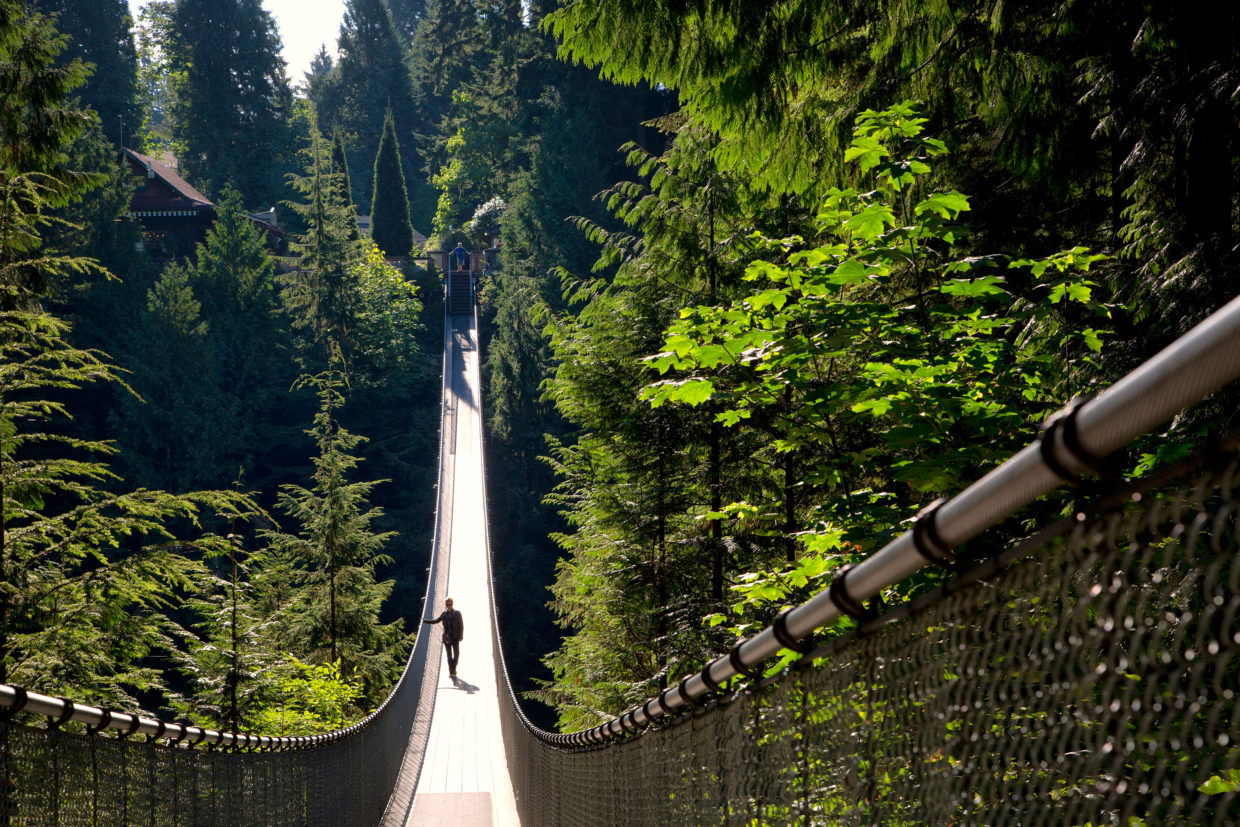 Le pont suspendu de Capilano au-dessus du canyon, dans la forêt pluviale