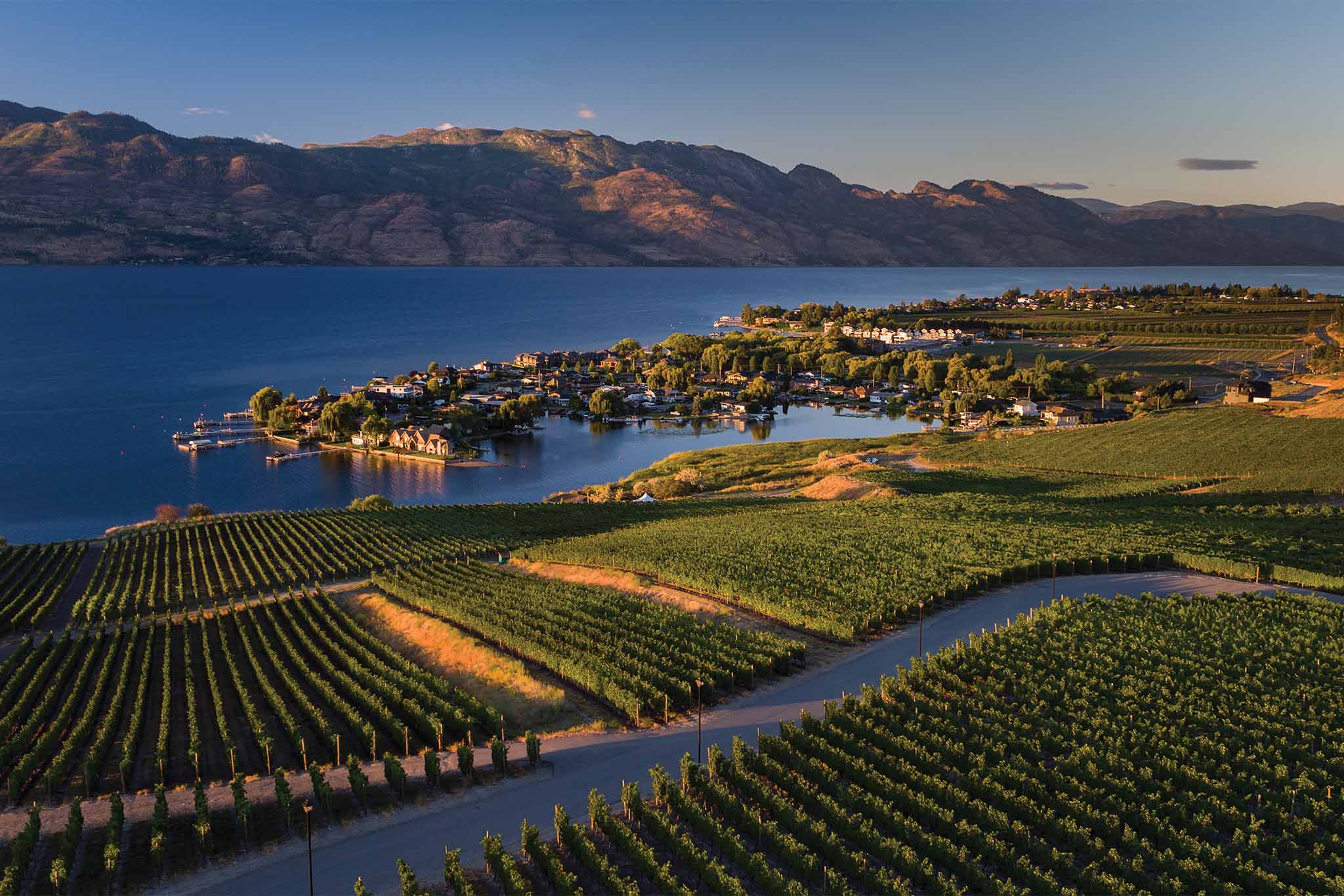Lac Okanagan entouré de vignobles et de montagnes
