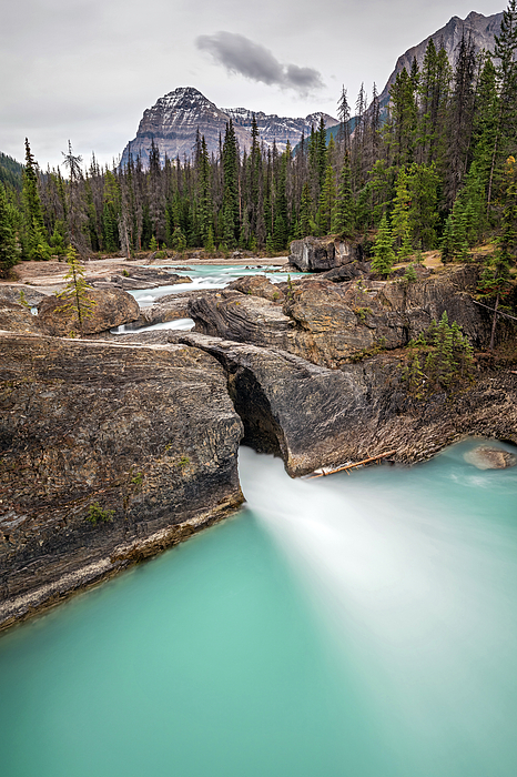 Le pont naturel de roche au-dessus des eaux turquoise de la rivière Kicking Horse