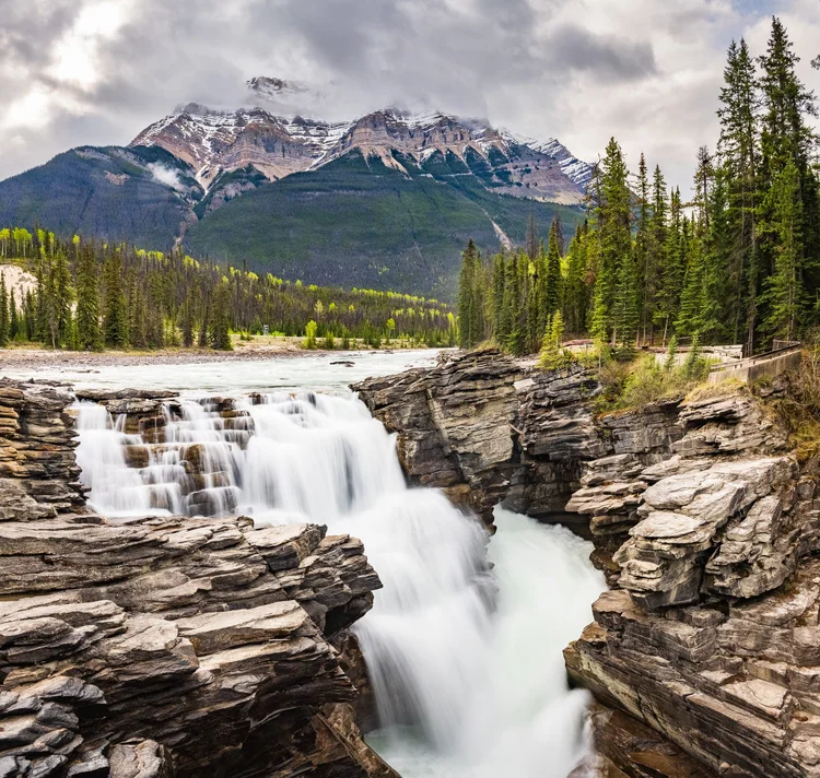 Chutes Athabasca dans le parc national Jasper