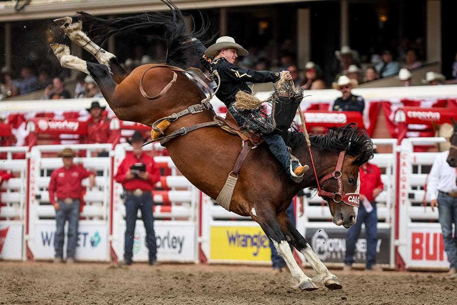 Un cavalier de rodéo sur un cheval qui rue, au Stampede de Calgary
