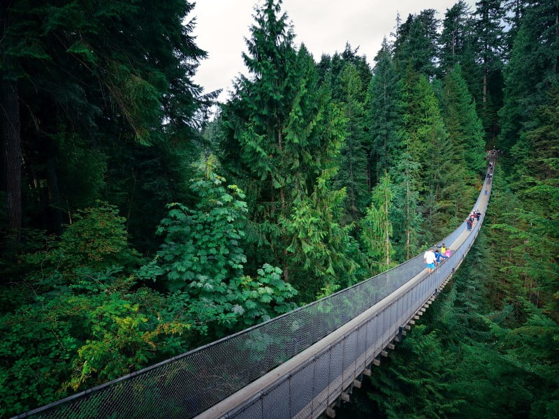 Le pont suspendu de Capilano au-dessus du canyon